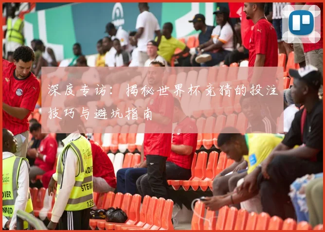 深度专访：揭秘世界杯竞猜的投注技巧与避坑指南