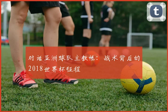 对话亚洲球队主教练：战术背后的2018世界杯征程