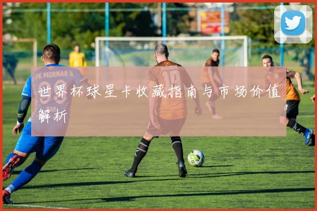 世界杯球星卡收藏指南与市场价值解析