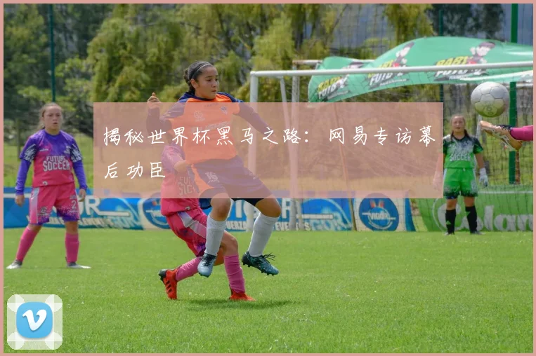 揭秘世界杯黑马之路：网易专访幕后功臣