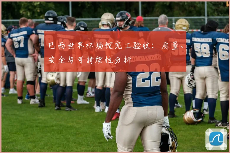 巴西世界杯场馆完工验收：质量、安全与可持续性分析