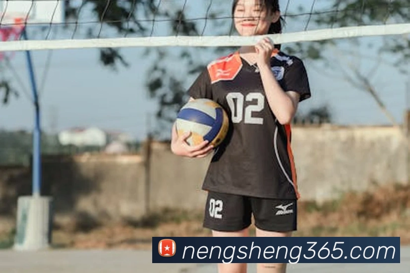 辅助工具 辅助工具